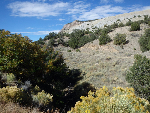 GDMBR: San Mateo Spring to Grants, New Mexico.